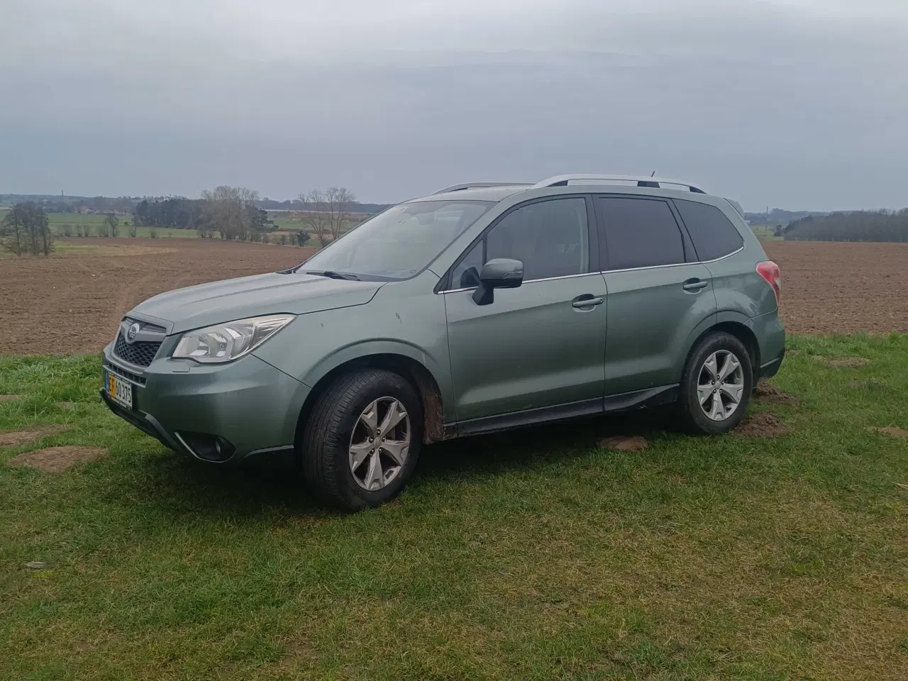 Billede 7 - Subraue Forester 