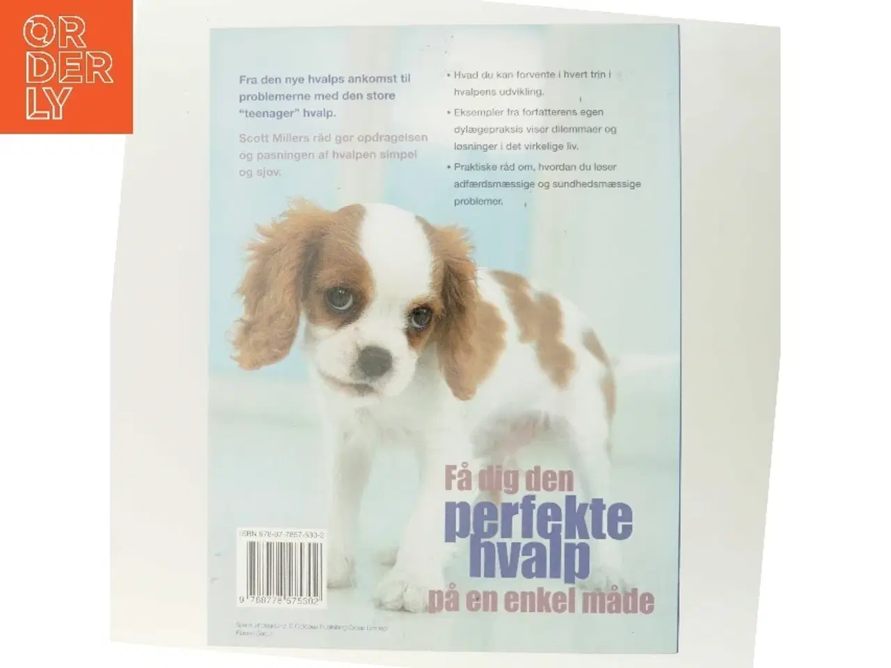 Billede 3 - Hvalpebogen : hvad du skal gøre og hvornår af Scott Miller (Bog)