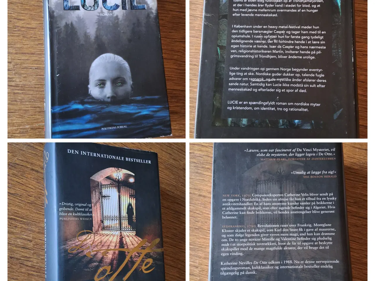 Billede 13 - BogUDsalg  5kr/stk. Samlet køb kan sendes. 