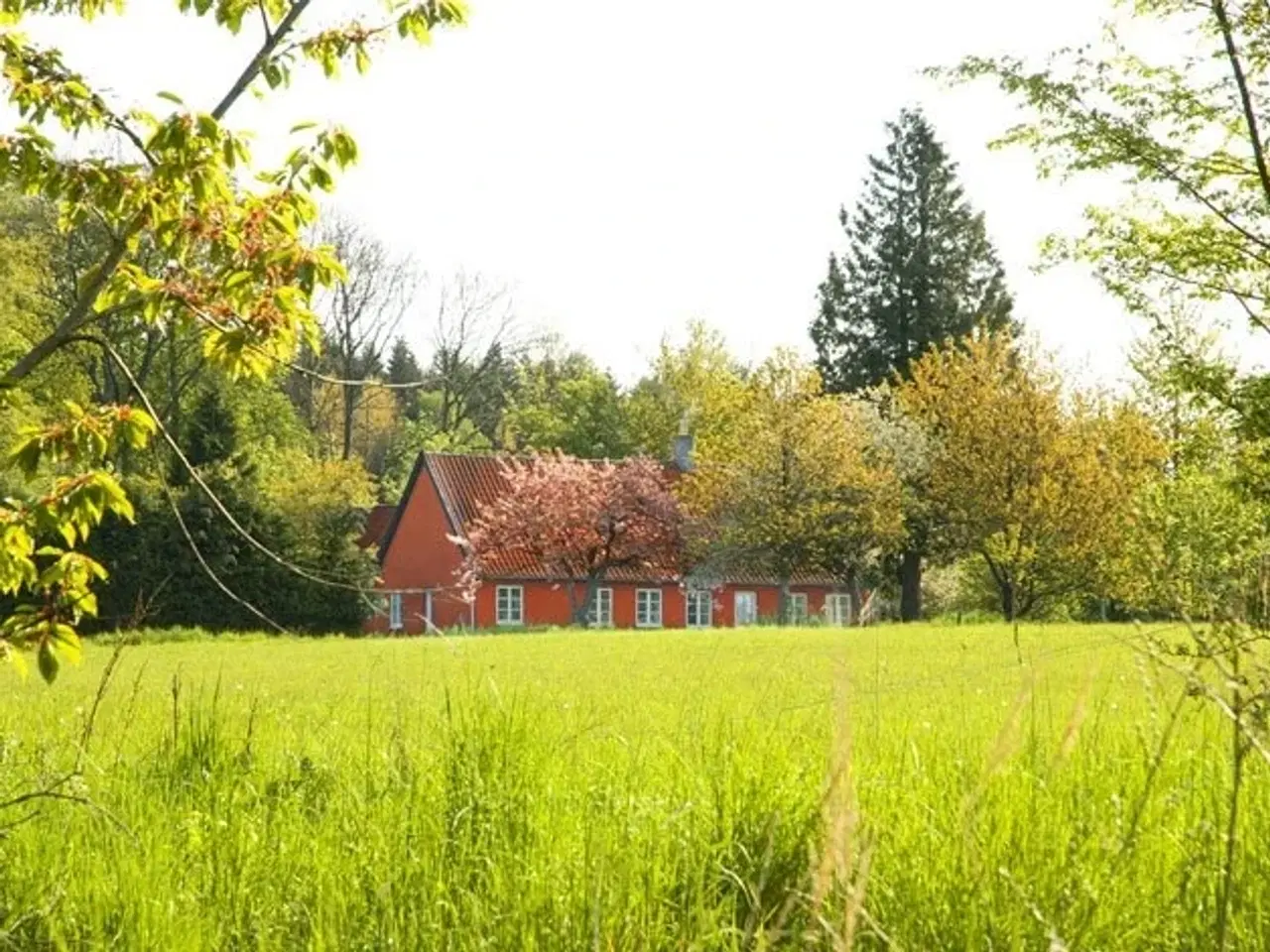 Billede 4 - Skovløberhus i Almindingen ved Aakirkeby på Bornholm - fantastisk sommerhus midt på solskinsøen