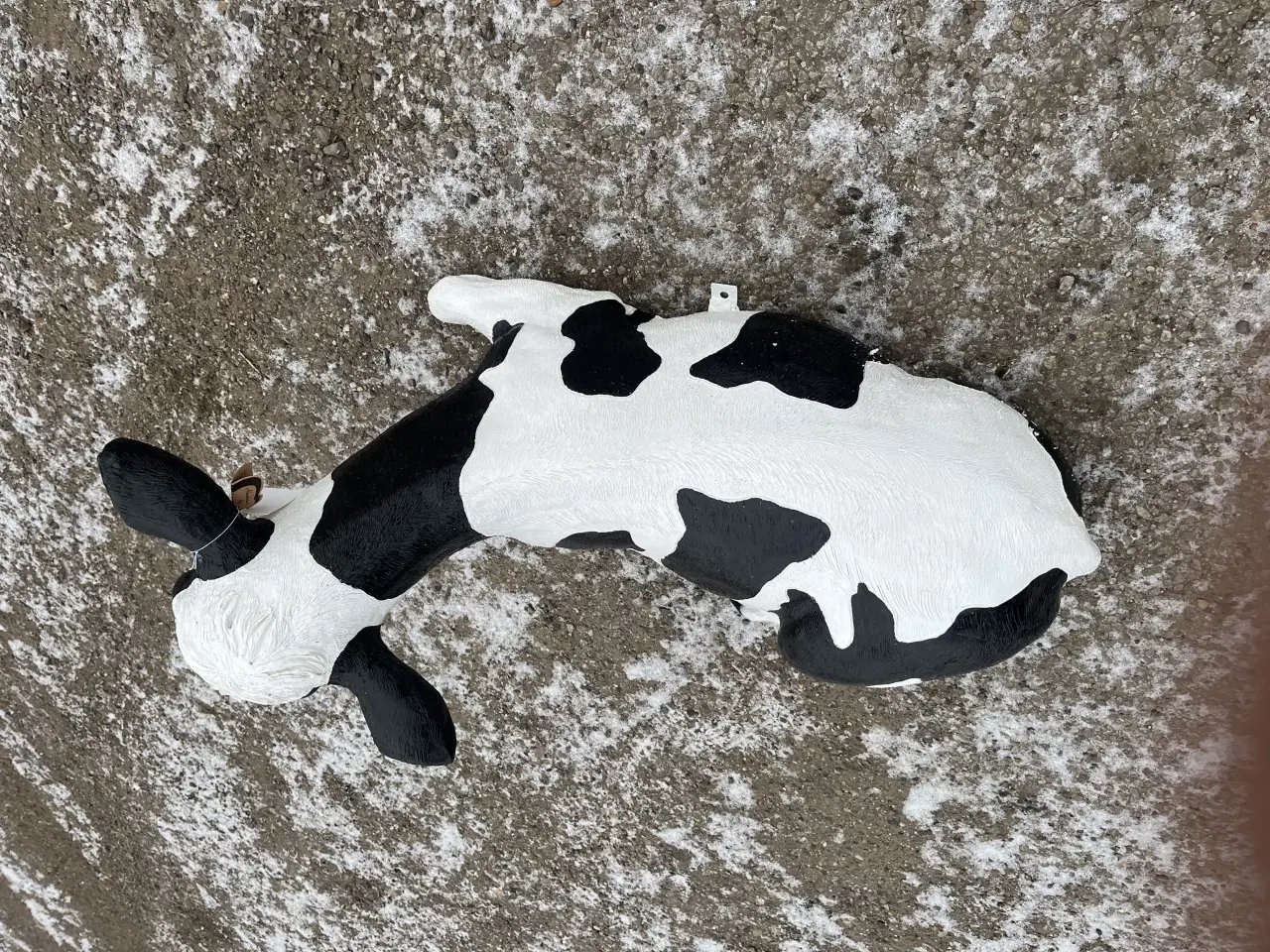 Billede 6 - Kalv i plast polyester 