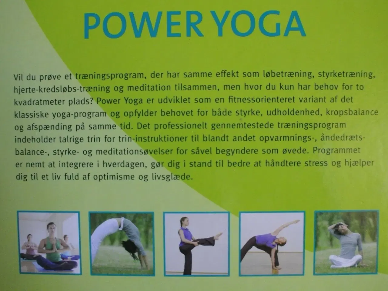 Billede 2 - power yoga med trænings-dvd, af christa g. traczin