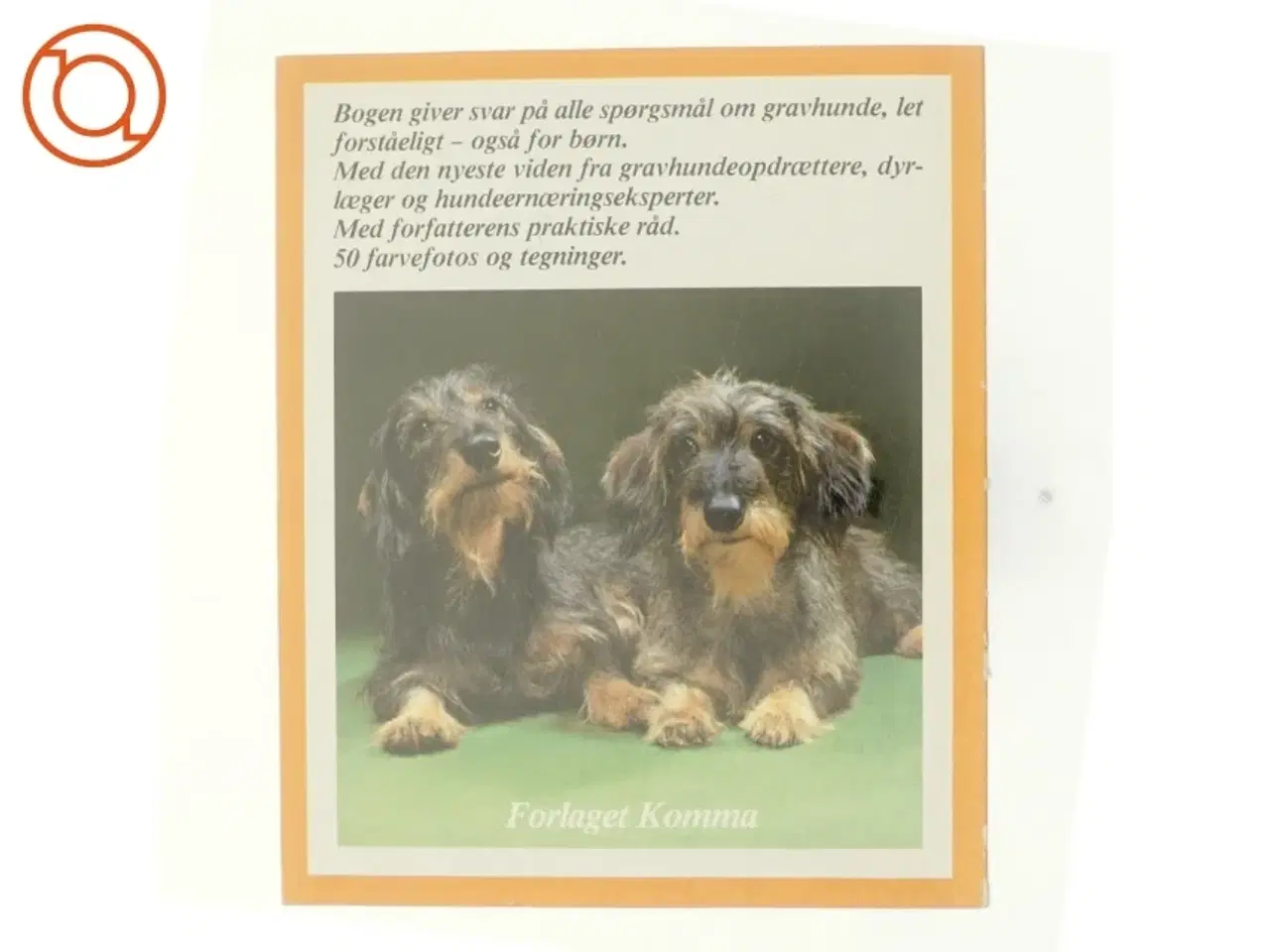 Billede 3 - Gravhunde hjemme af Leni Fiedelmeier