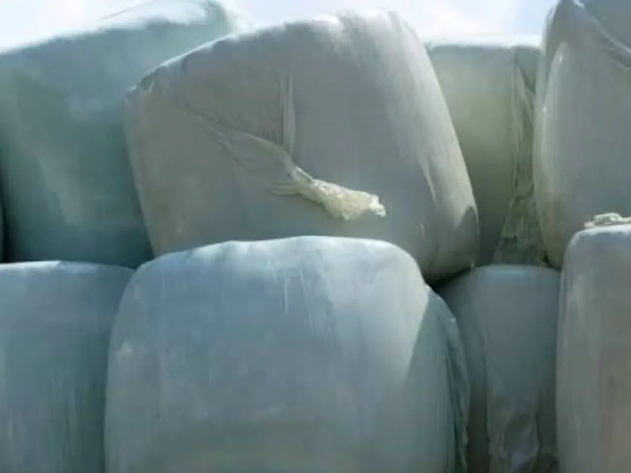 Billede 1 - Wrap rundballer købes