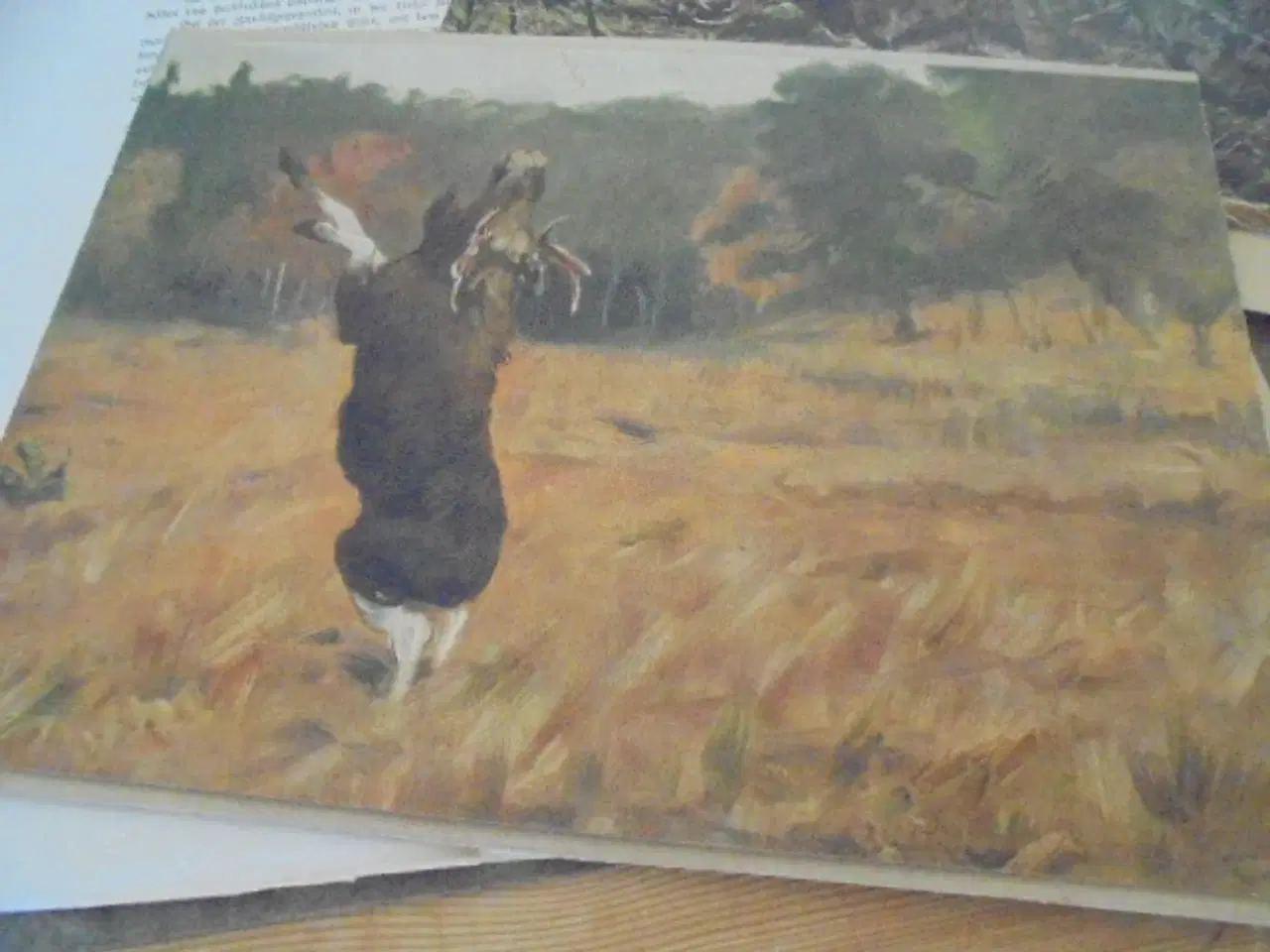 Billede 9 - E.A. Seemanns Künstlermappen – 4 stk. Fra ca. 1920