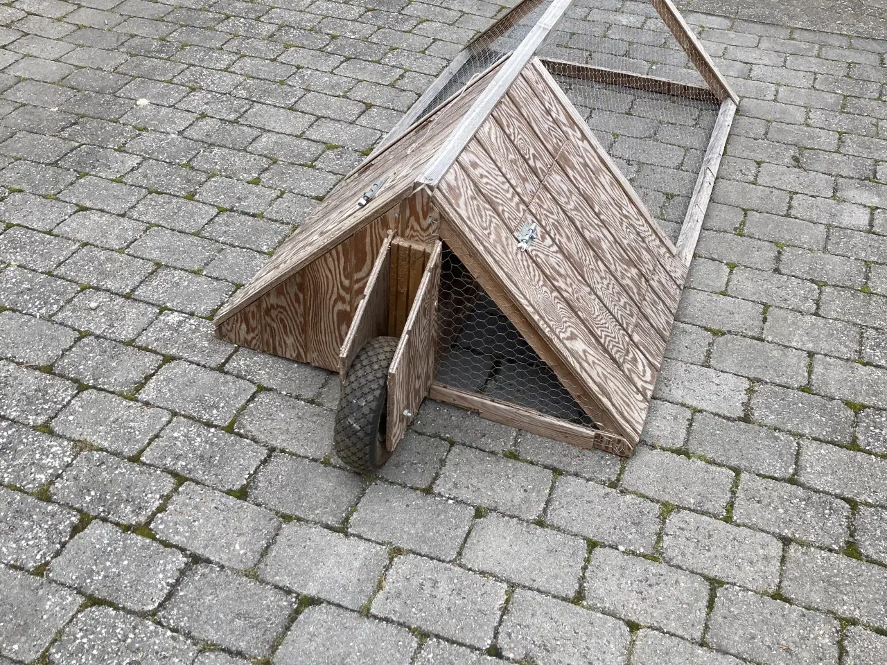 Billede 2 - Udebur til Marsvin