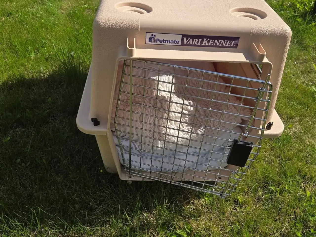 Billede 3 - Stor transportkasse til hund/kat