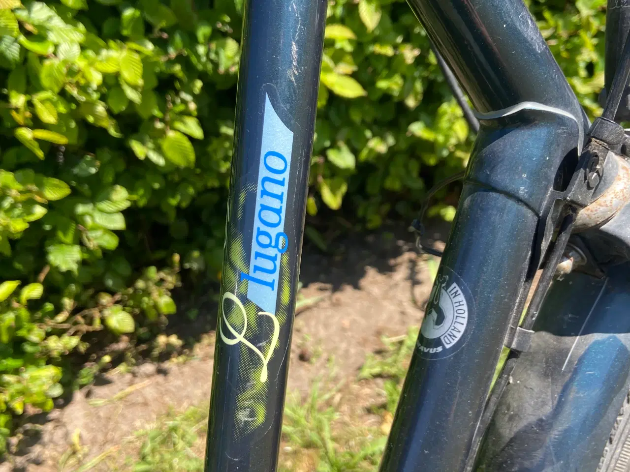 Billede 3 - Batavus Lugano