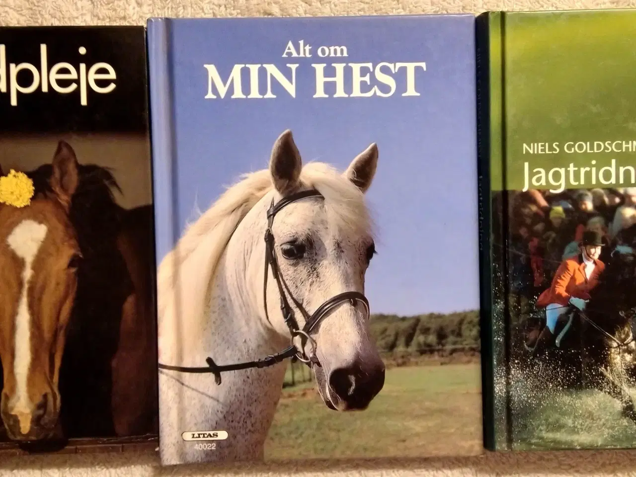 Billede 3 - 13 Hestebøger