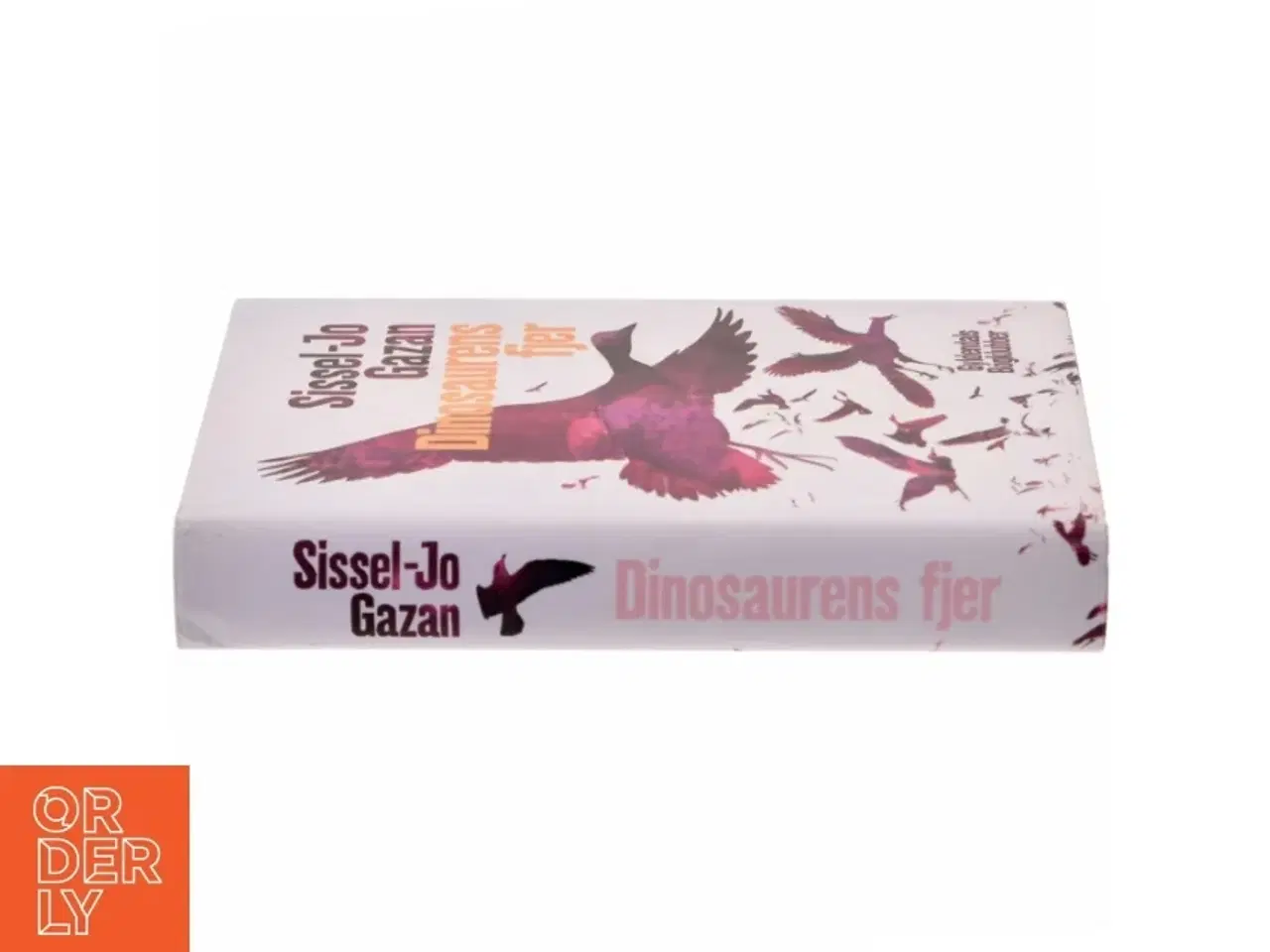 Billede 2 - Dinosaurens fjer