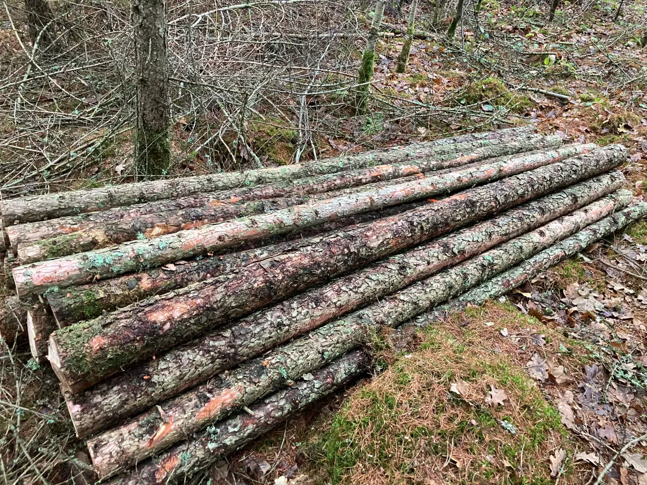 Billede 2 - Lærkepæle