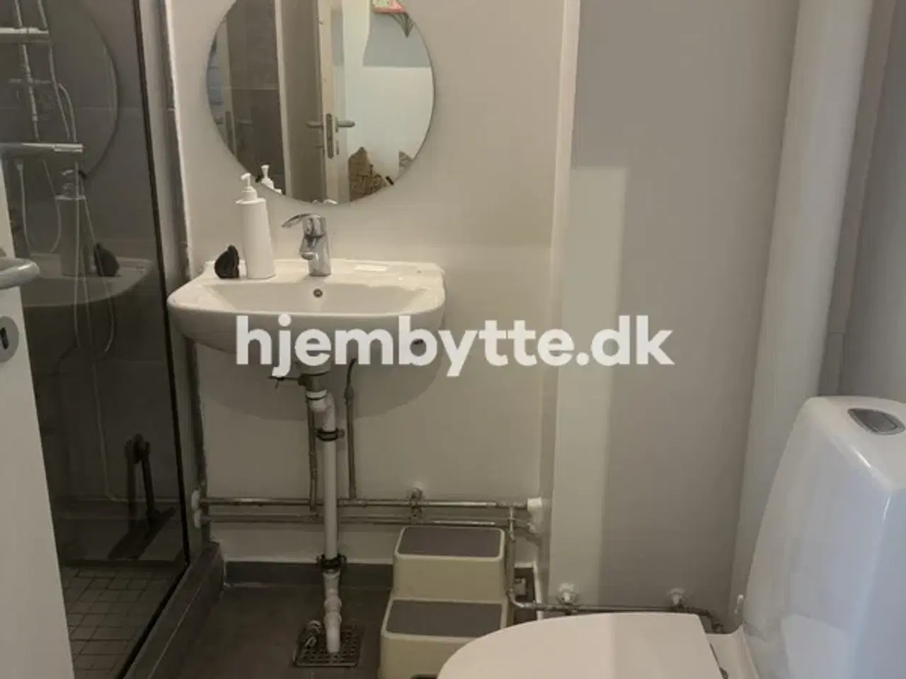 Billede 3 - Hjembytte - Buskager