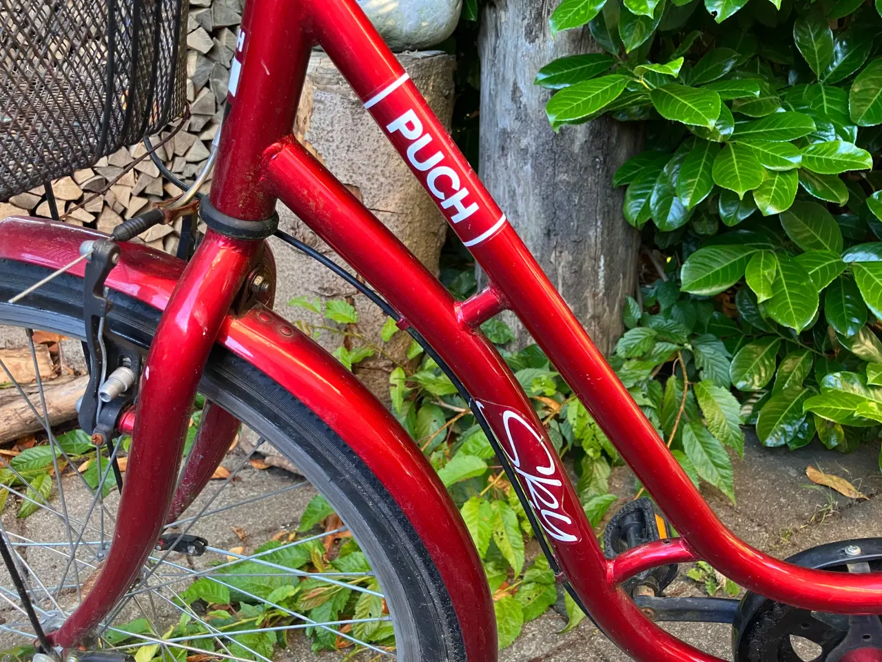 Billede 2 - Børnecykel PUCH Sky 24" 3 indvendige gear 