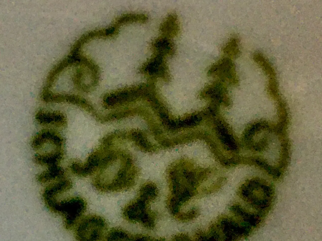 Billede 1 - Schlaggenwald Bøhmisk porcelæn spisestel