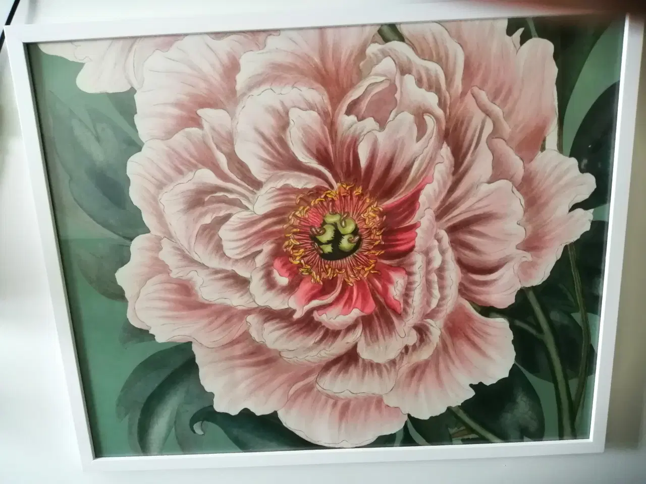 Billede 1 - Blomster Billede 