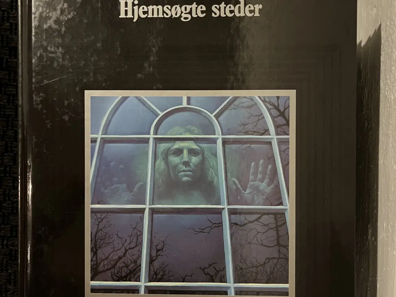 Billede 19 - 28 spændende bøger fra Mystikkens Verden 