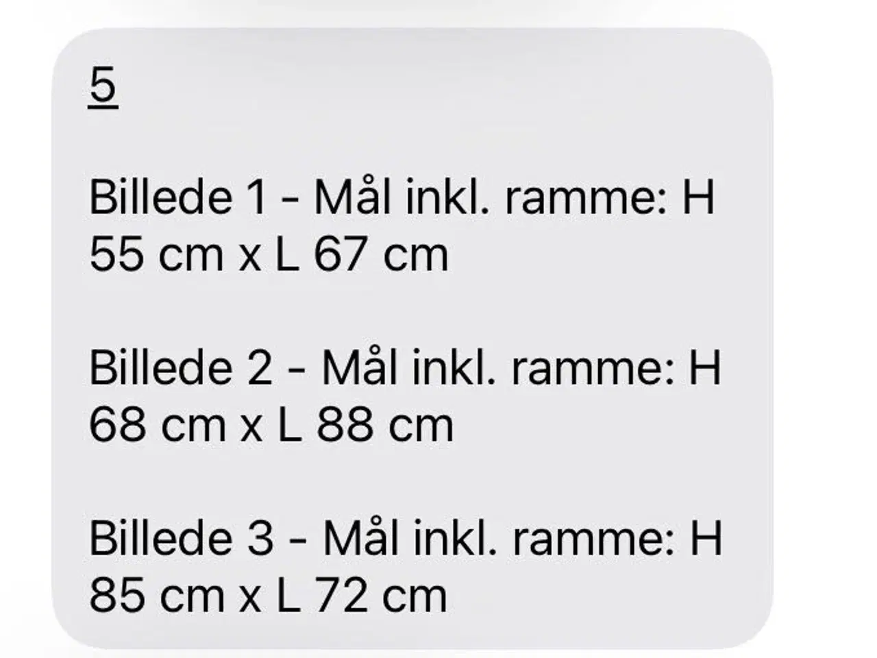Billede 10 - Malerier med guldrammer