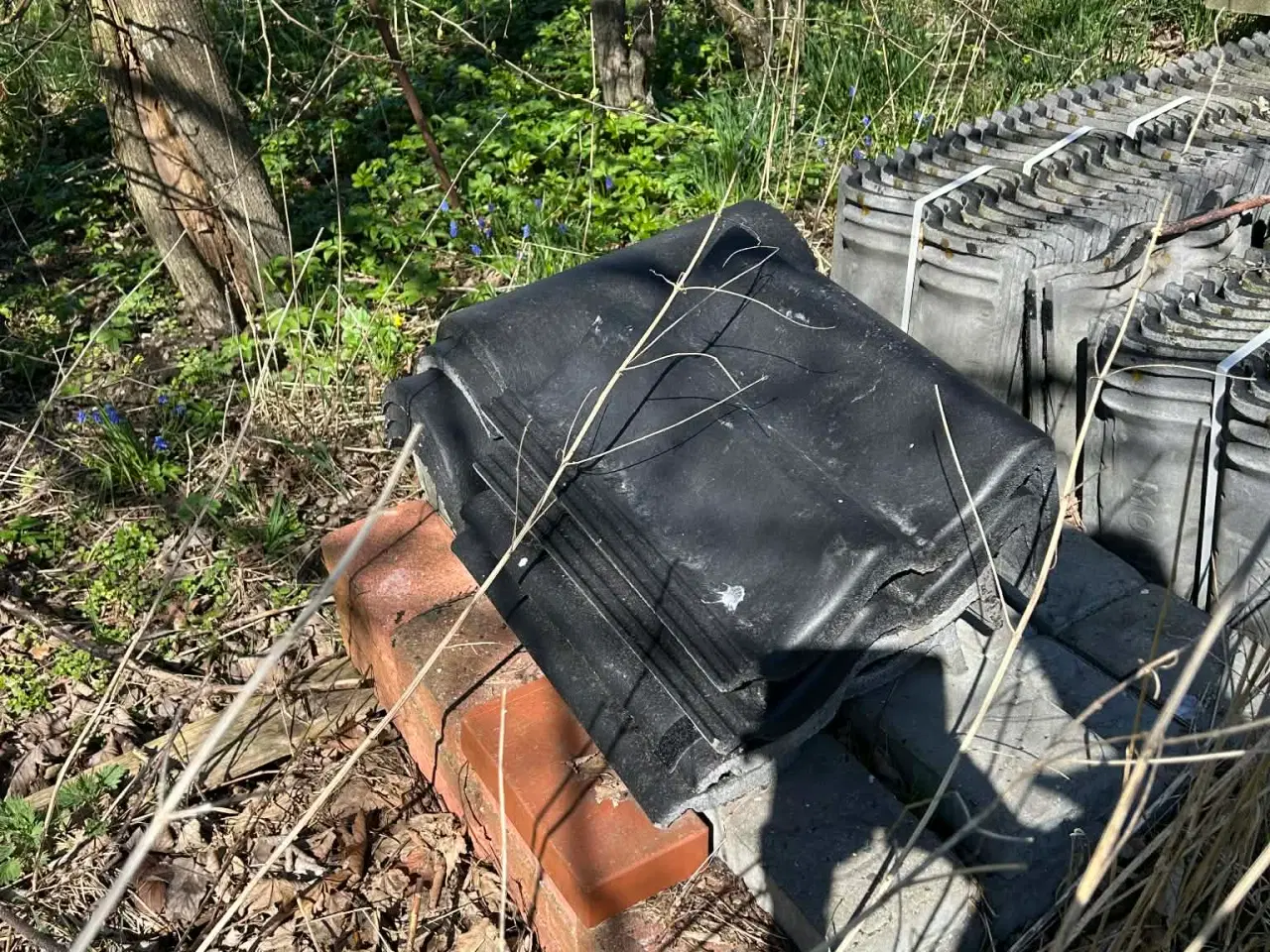 Billede 3 - MONIER TAGSTEN B&C, almindelige og sidesten