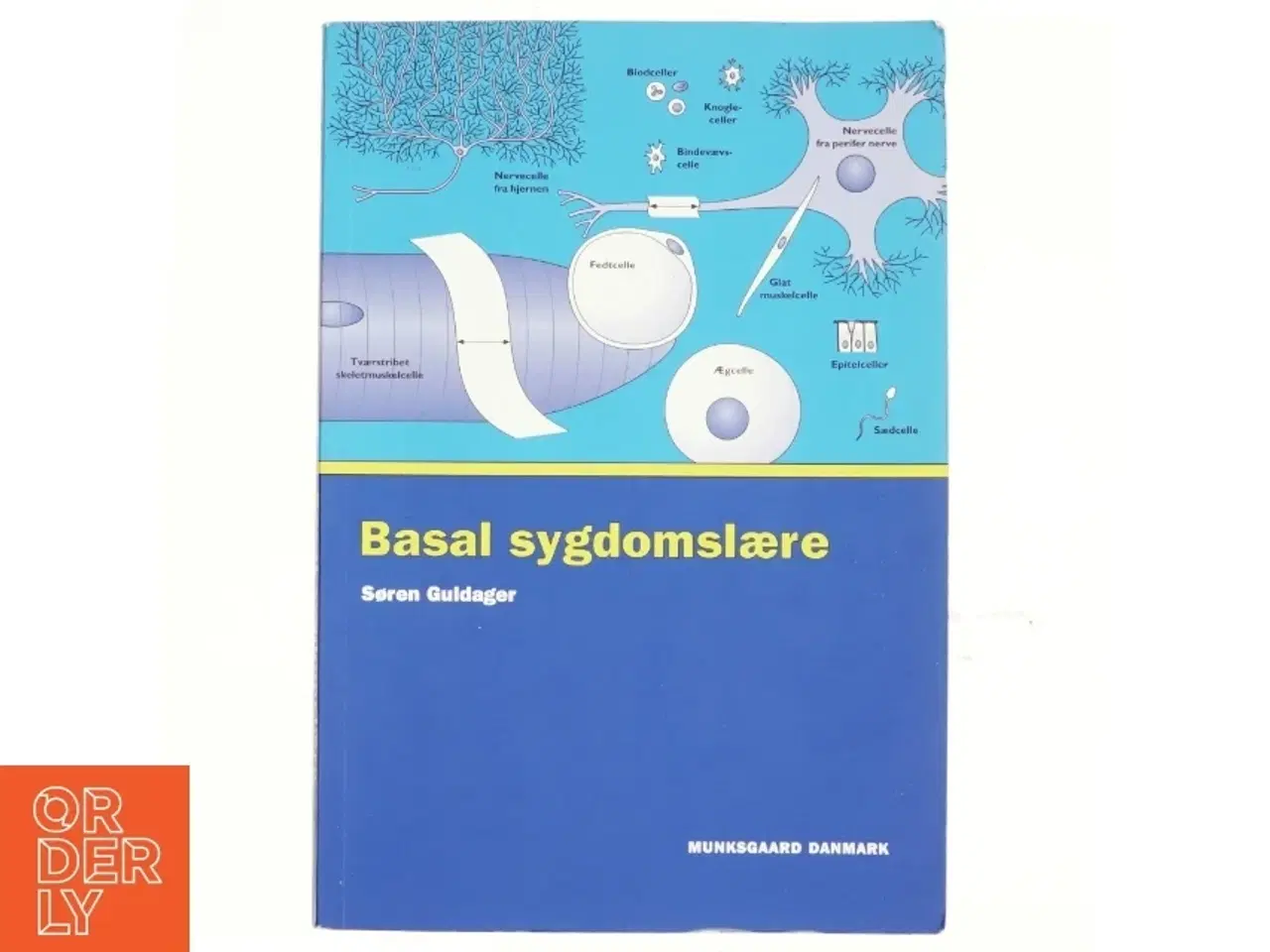 Billede 1 - Basal sygdomslære af Søren Guldager (Bog)