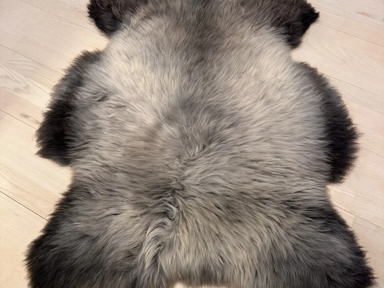 Billede 1 - Lammeskind 