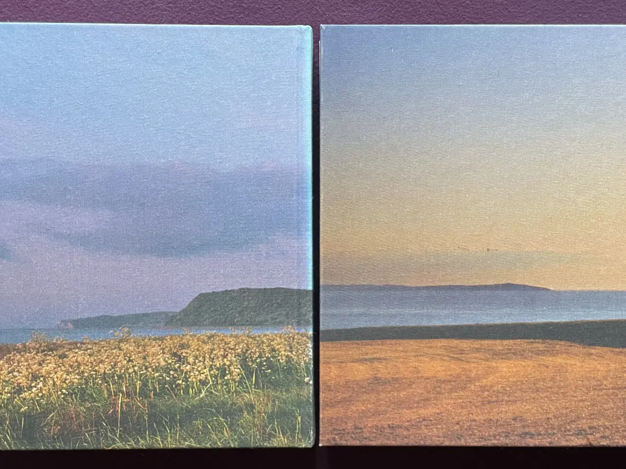 Billede 1 - Limfjorden 1+2, + fejlfri DVD