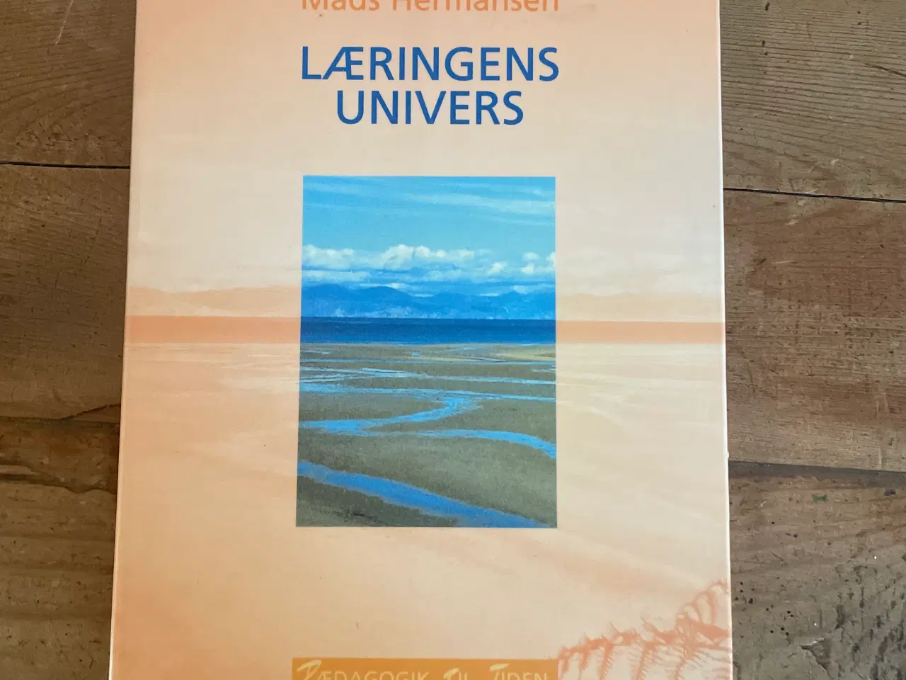 Billede 1 - Læringens univers