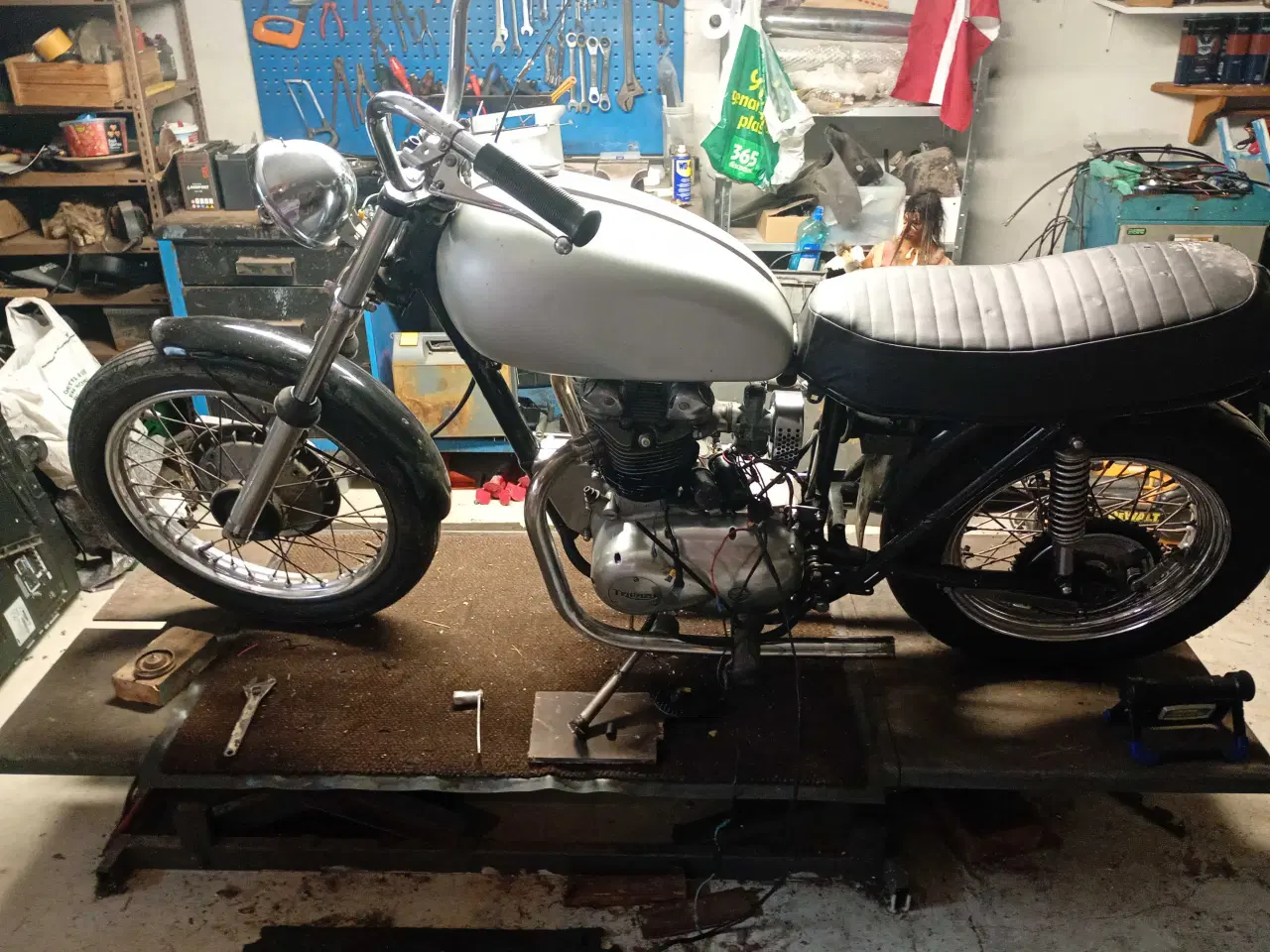 Billede 1 - T100 tiger 100