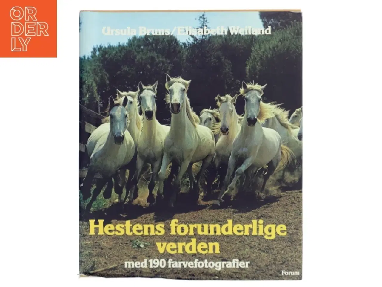 Billede 1 - Hestens forunderlige verden af Ursula Bruns (Bog)