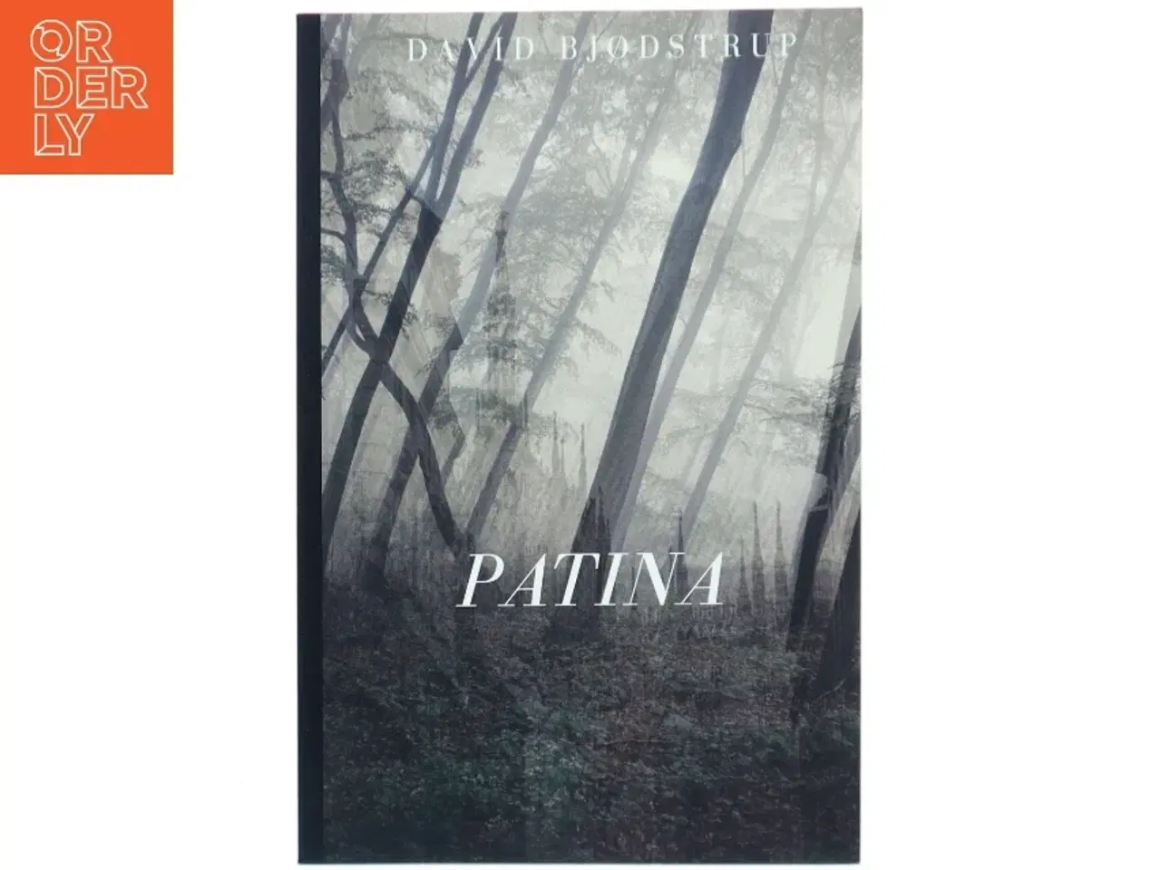 Billede 1 - Patina af David Bjødstrup