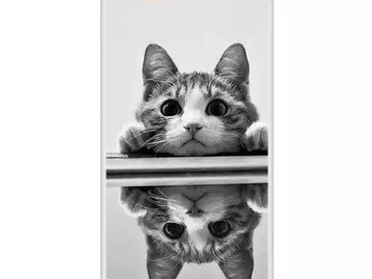Billede 1 - Silikone cover iPhone 6 6s 7 el 8