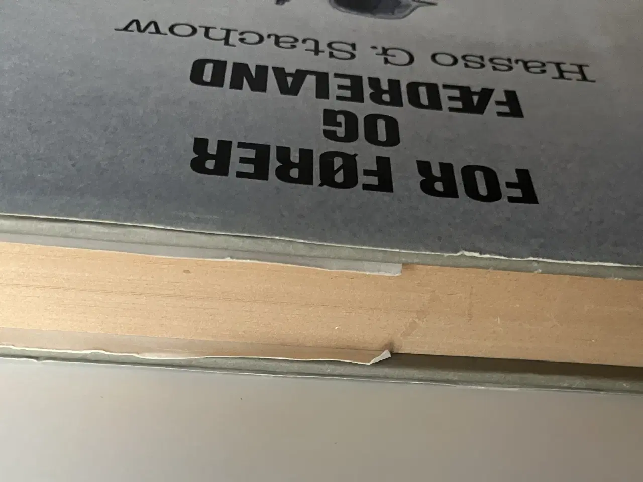 Billede 7 - For Fører og fædreland. Af Hasso G. Stachow