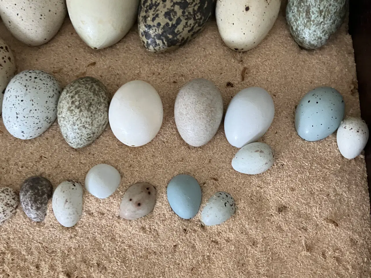 Billede 2 - Dansk samling