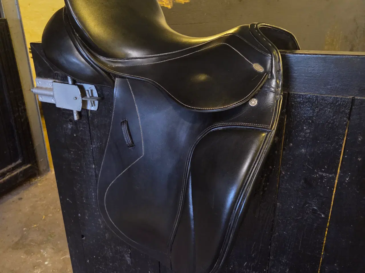 Billede 5 - Kentaur Elektra dressur 17"