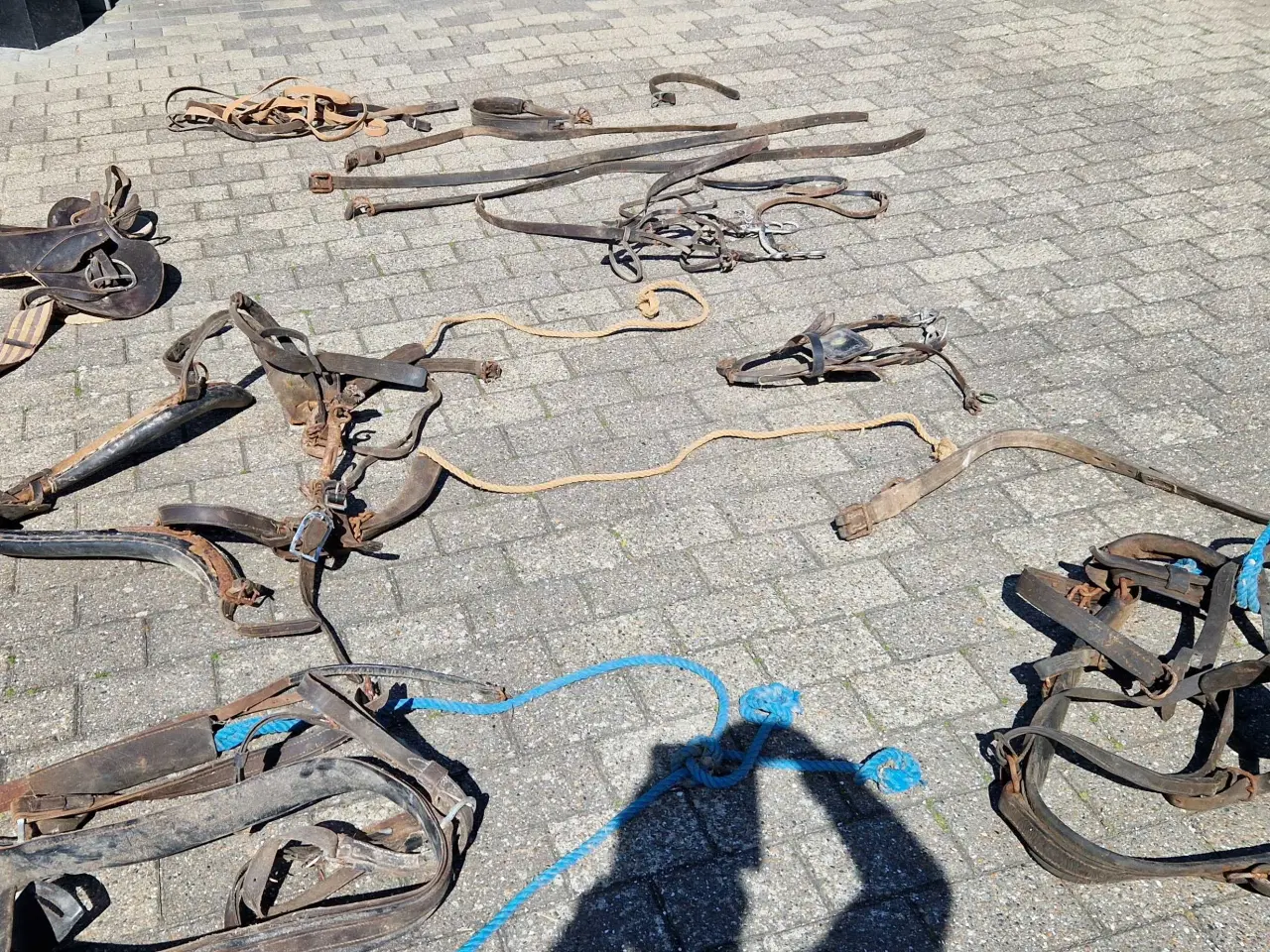 Billede 2 - Seletøj til heste 