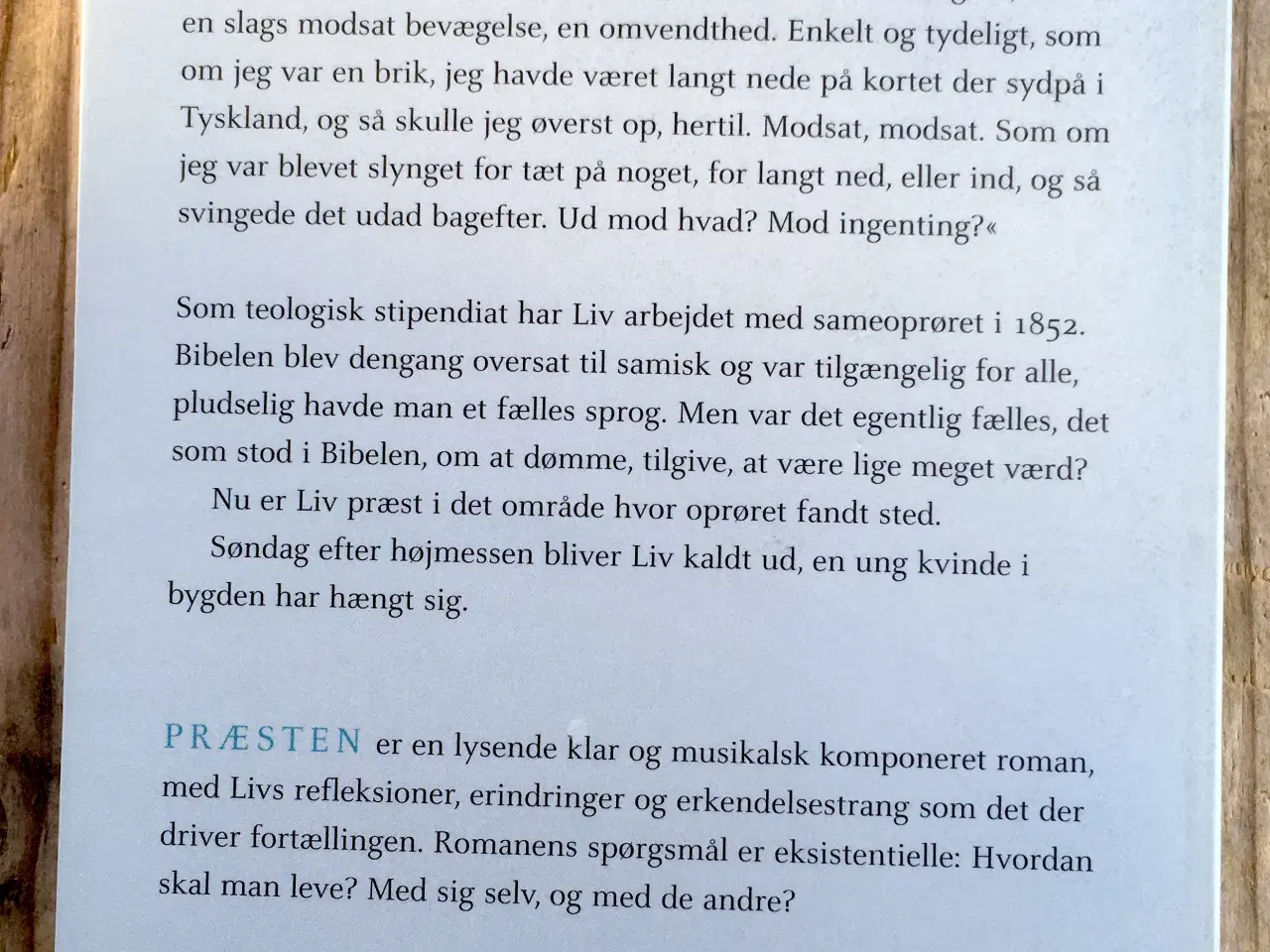 Billede 2 - Præsten, Hanne Ørstavik, genre: drama