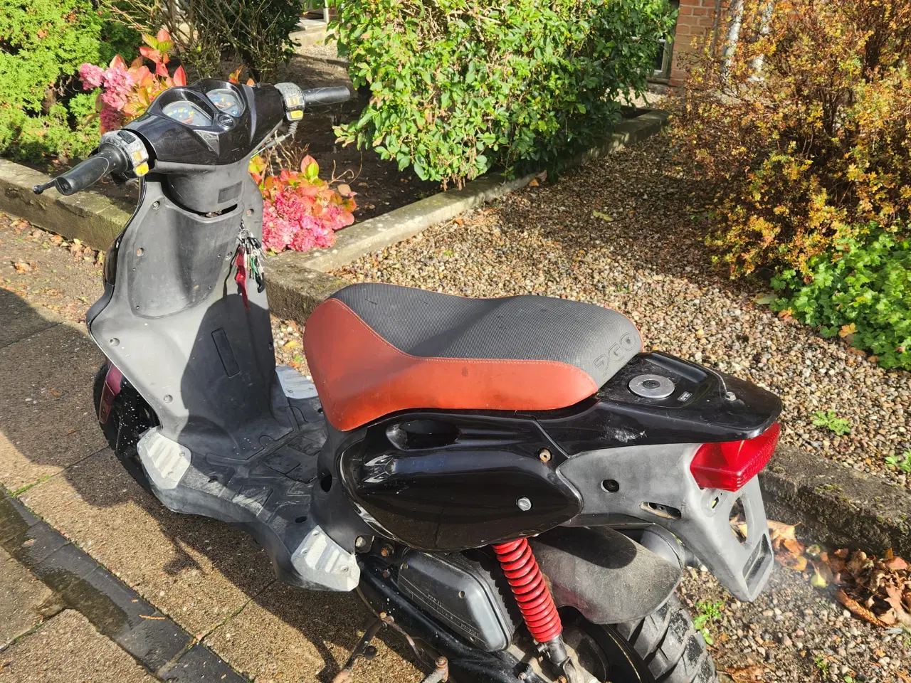 Billede 4 - Pgo pmx 