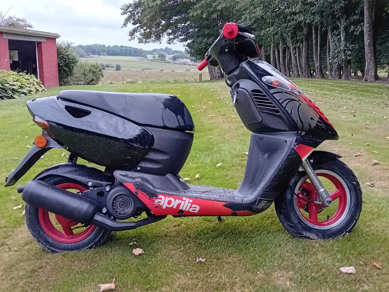 Billede 3 - Aprilia sonic