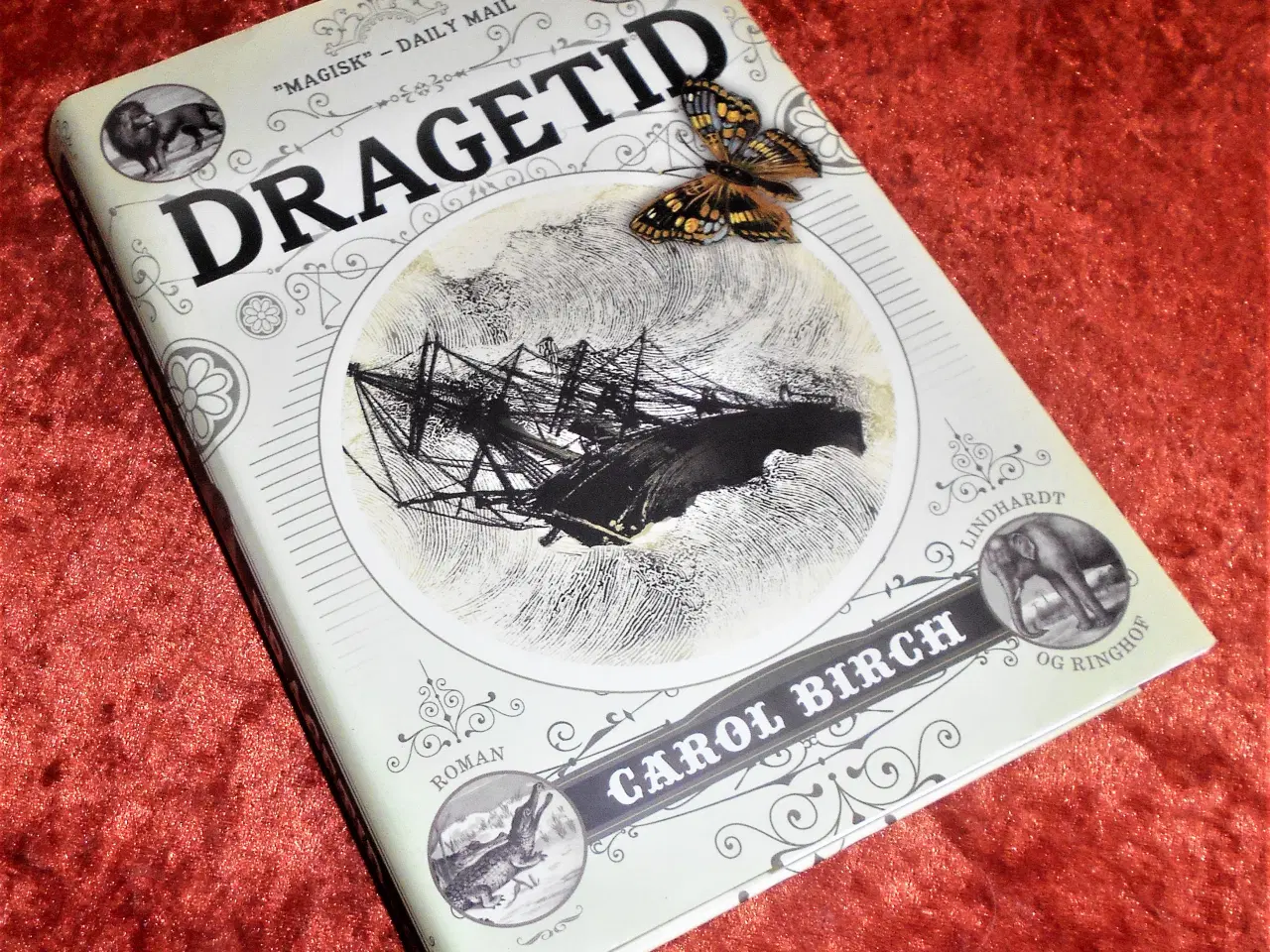 Billede 1 - Dragetid, Carol Birch