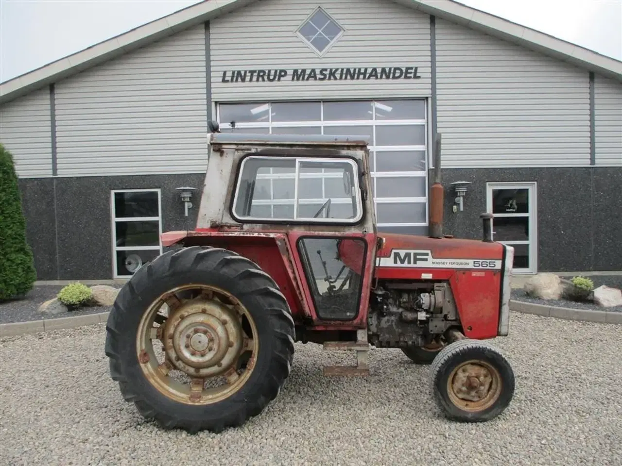 Billede 7 - Massey Ferguson 565 Med orginal registringsattest til og srvostyrring