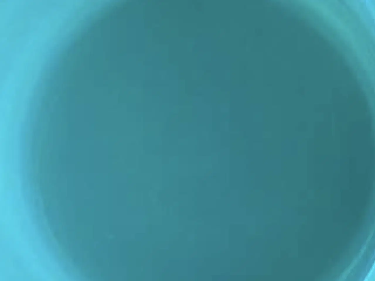 Billede 3 - 2 stk Tupperware krus med låg 