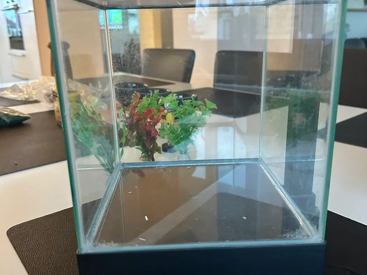 Billede 1 - Lille akvarie inkl. udstyr