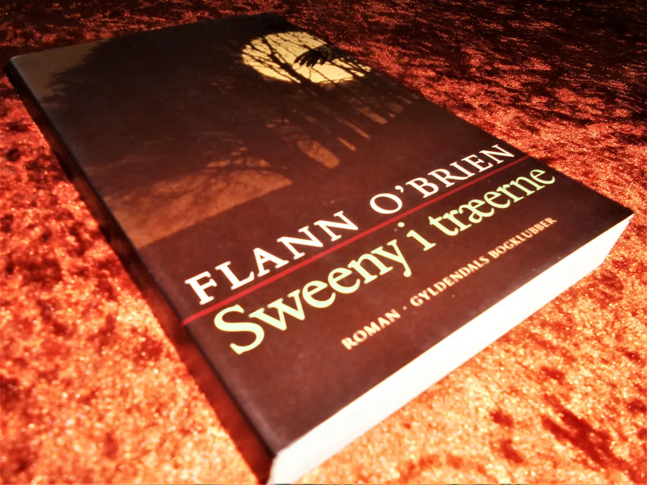 Billede 1 - Sweeny i træerne, Flann O'Brien