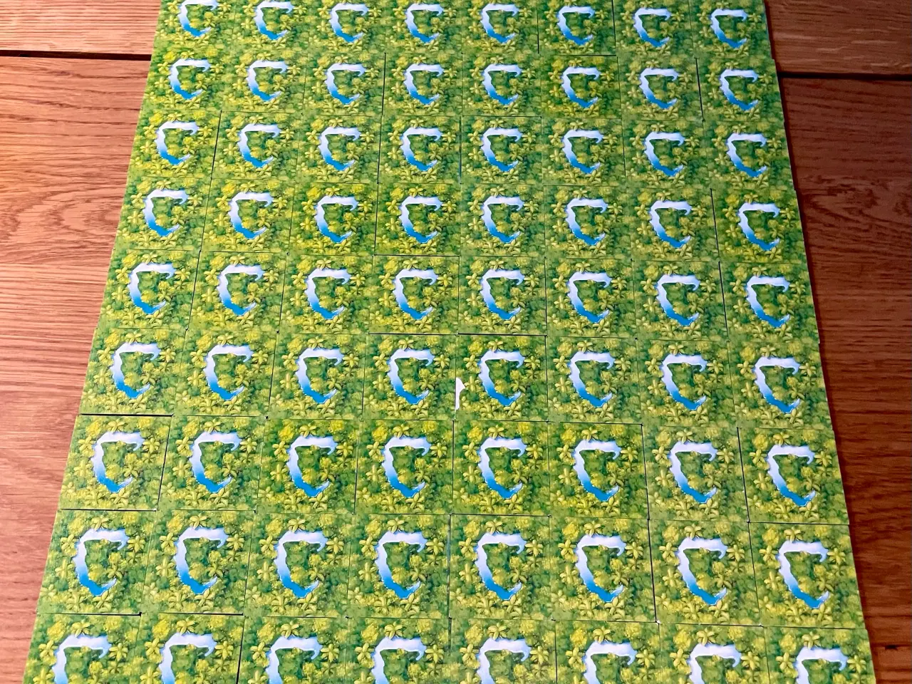 Billede 20 - Carcassonne Amazonas brætspil