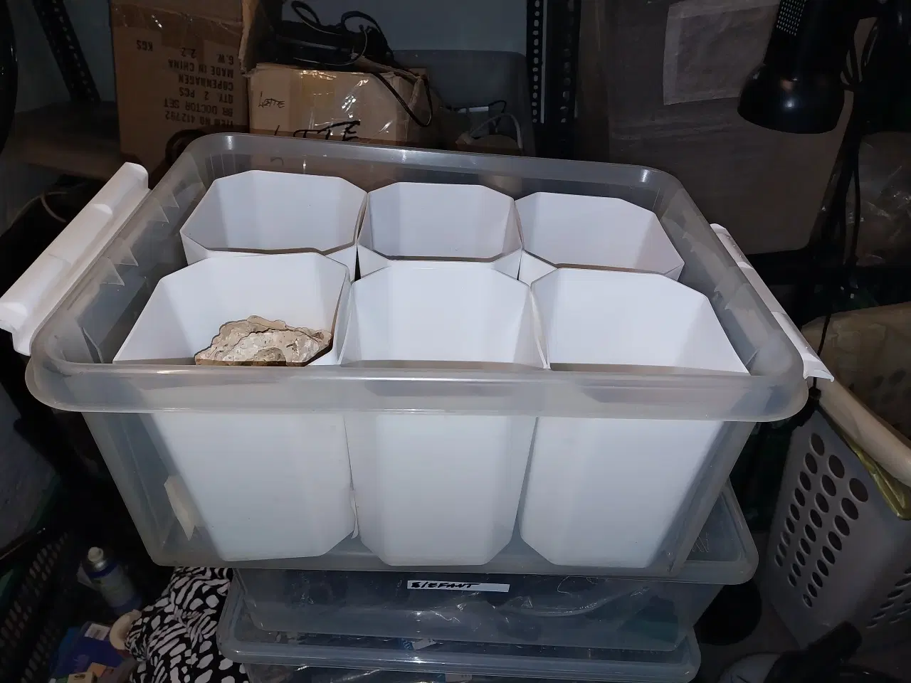 Billede 1 - Plastikkasse med 6 beholdere.Egnet til Skorpioner