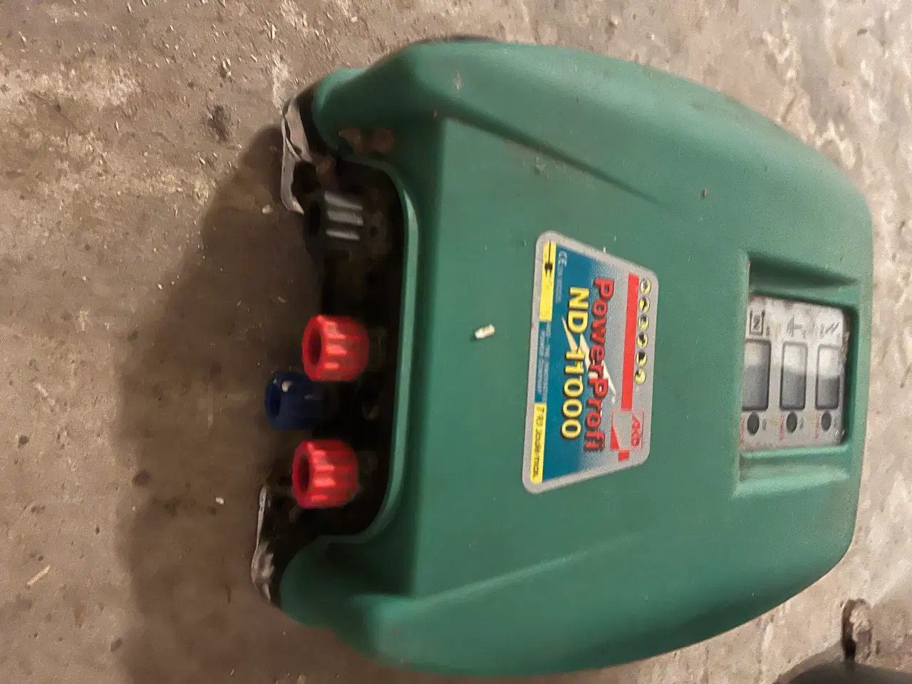 Billede 1 - Hegnsklokke