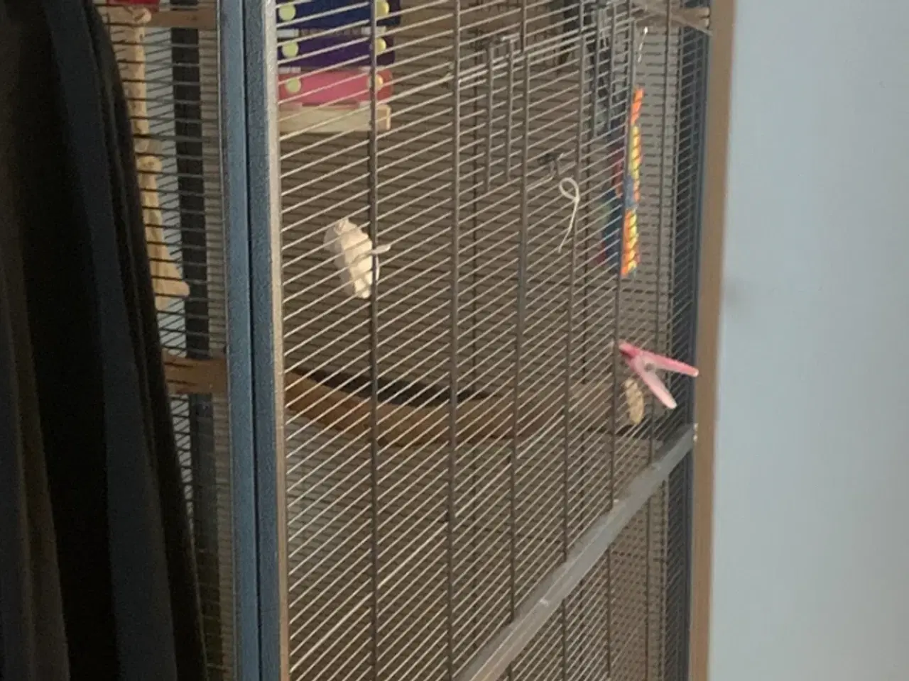 Billede 1 - Stort fuglebur