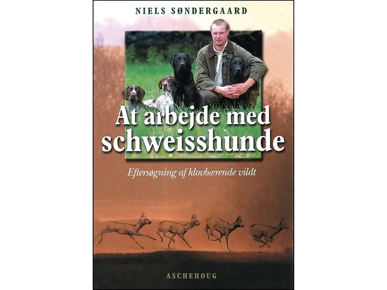 Billede 1 - At arbejde Schweisshunde