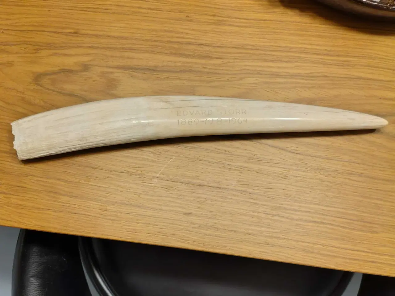 Billede 2 - Hvalros tand 