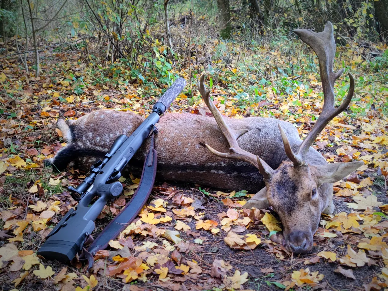 Billede 8 - Sabatti Nordhunt MRR riffel - Kal. 308 Win