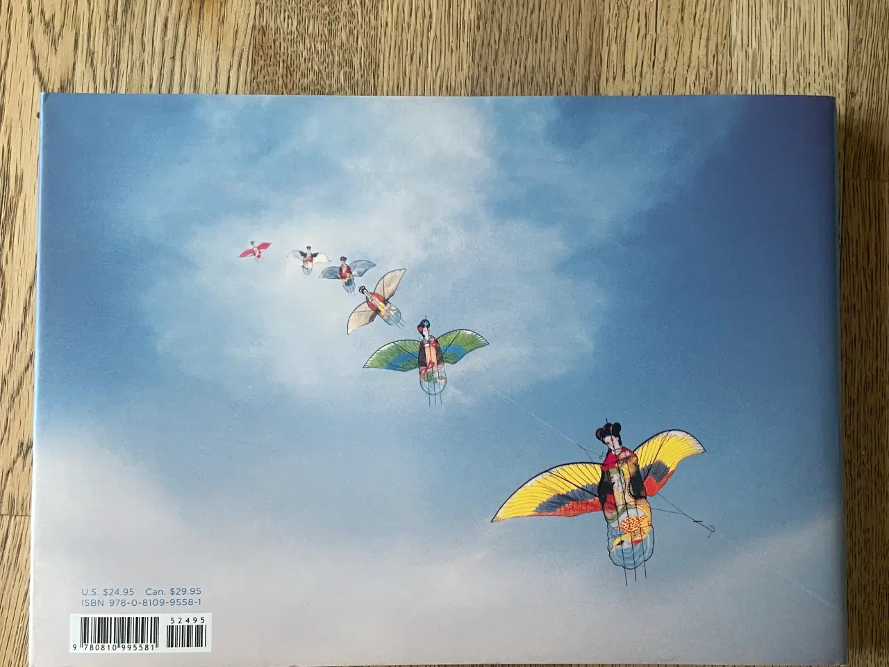 Billede 2 - Into the Wind, Hans Silvester